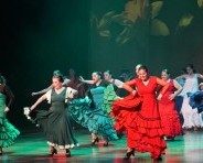 35 bailaoras de flamenco estarán en escena