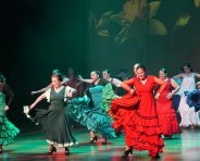 Teatro al Mediodía será un homenaje para la maestra del flamenco Paulina Peralta