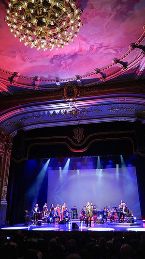 Gaviota La noche más romántca