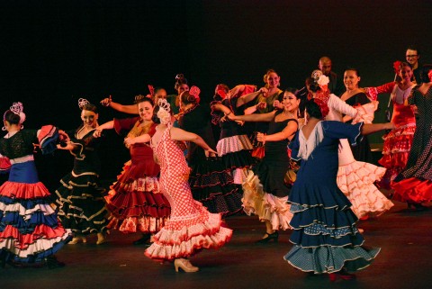 Flamenco es Pasión dirigido por Paulina Peralta
