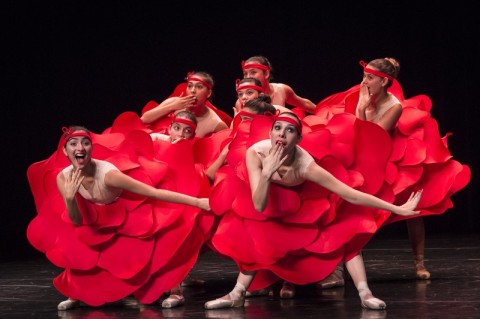 Ballet Contemporáneo Alicia en el país de las maravillas 