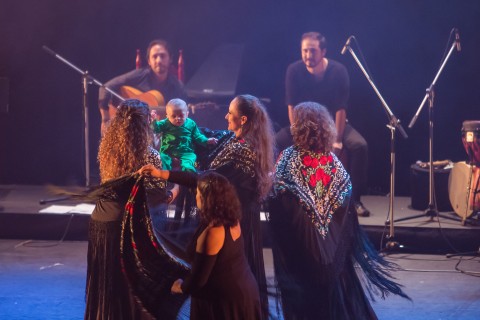 Las bailaoras con edades entre los diez y los sesenta años,  interpretarán tanguillos, tarantos, tangos de Málaga, tientos por tangos, alegrías, rumba y bulerías