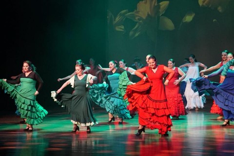 35 bailaoras de flamenco estarán en escena