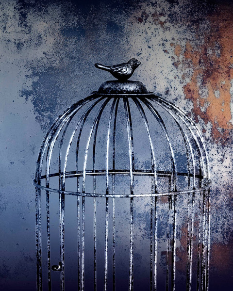 Obra de teatro Un gorila en una jaula de pájaros