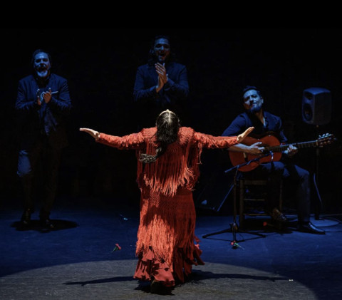 Contrapunto, el espectáculo más reciente de la bailaora Karime Amaya, 