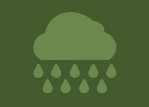 Miércoles de Literatura, poesía y diálogo con la charla: Poemas bajo la lluvia
