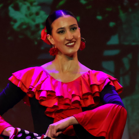 Los Palos del Flamenco Escuela de Flamenco Paulina Peralta