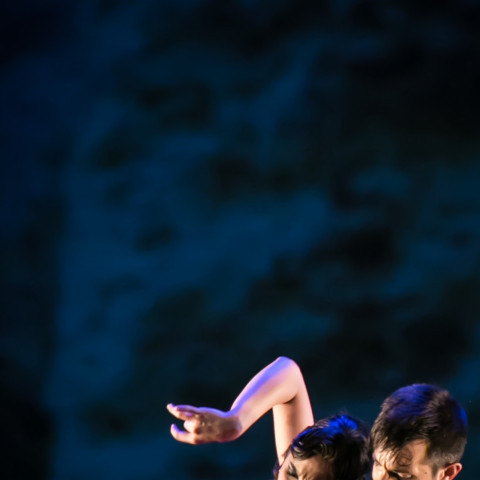 Carmen vr Carmen, Ballet flamenco