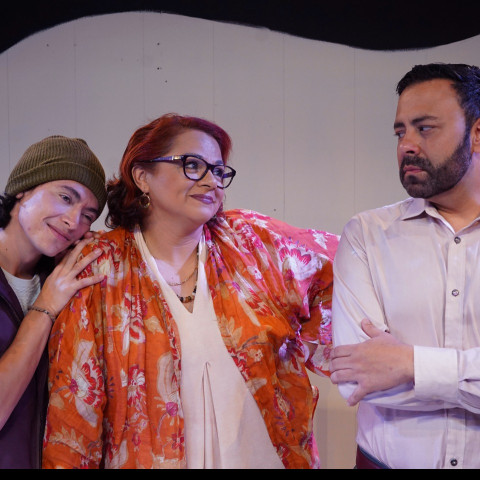 Obra un gorila en una jaula de pájaros da una mirada a una familia disfuncional en el Teatro Vargas Calvo