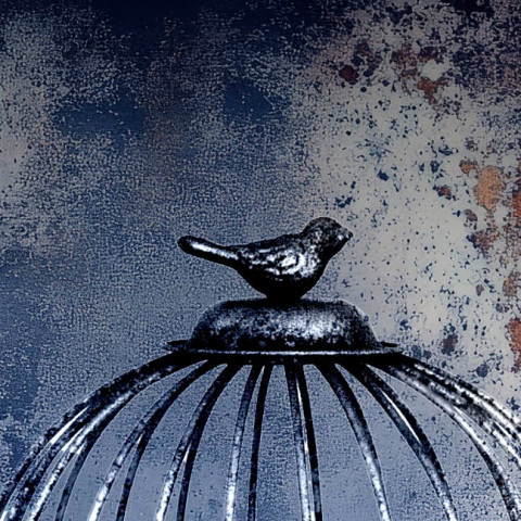 Obra de teatro Un gorila en una jaula de pájaros