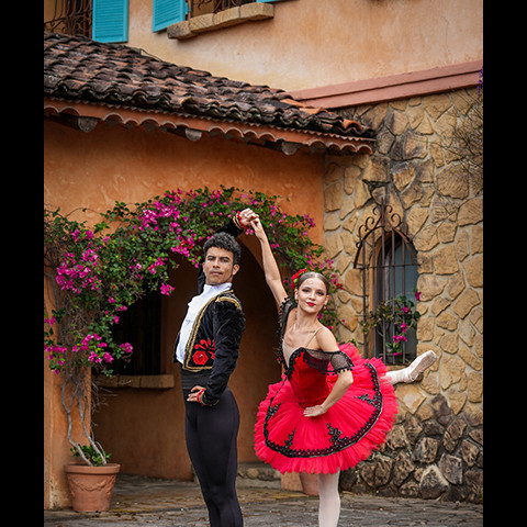 Ballet Nacional presenta El Quijote